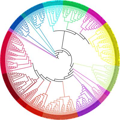 Genome-wide identification, characterization, and validation of the bHLH transcription factors in grass pea